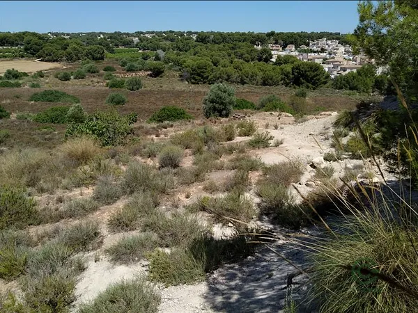 Spot image