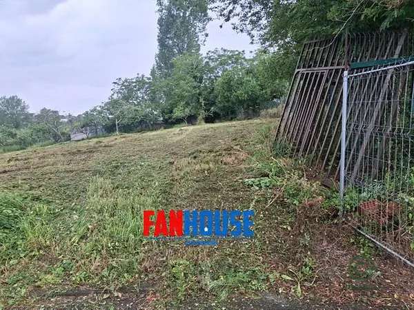 Spot image