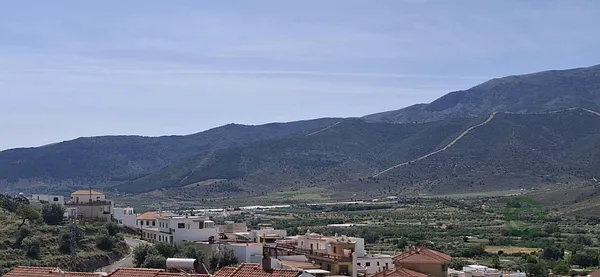 Spot image