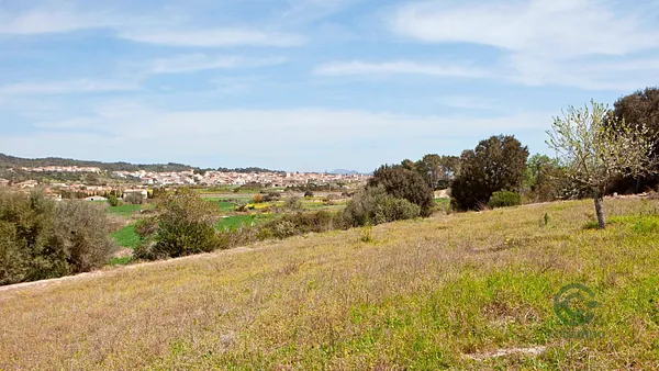 Spot image