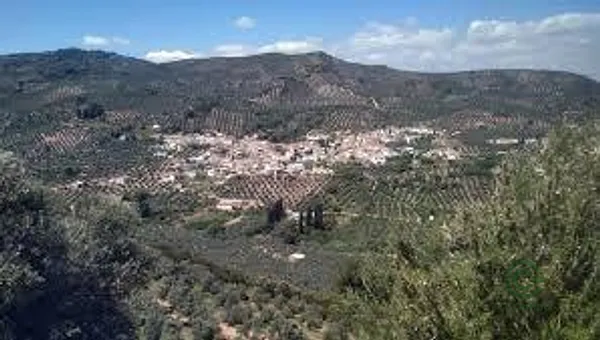 Spot image