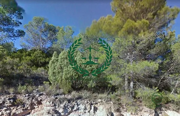 Spot image