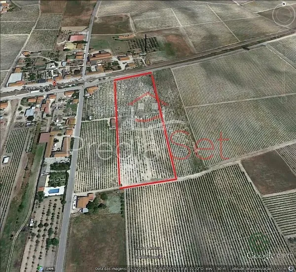 Spot image
