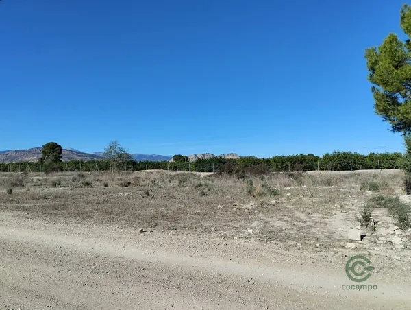 Spot image