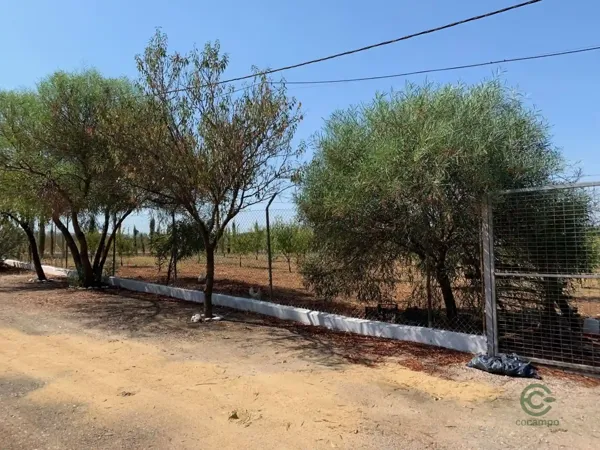 Spot image