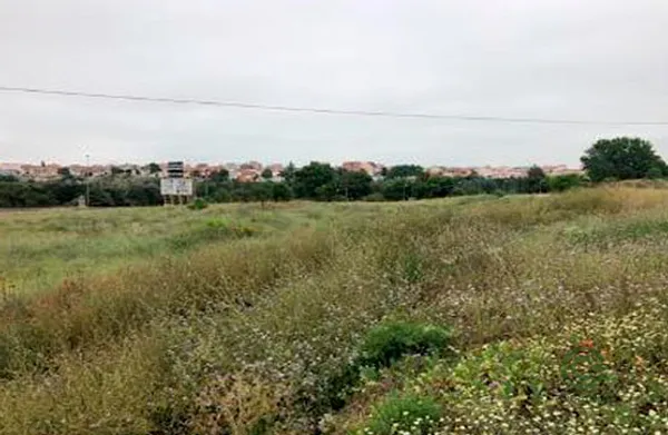 Spot image