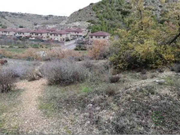 Spot image