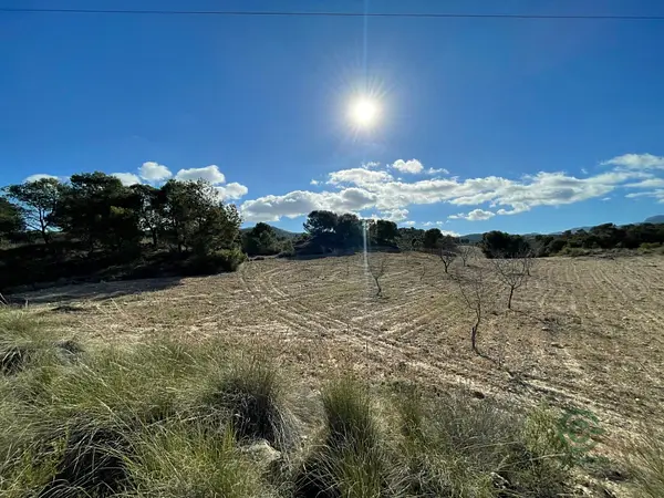 Spot image