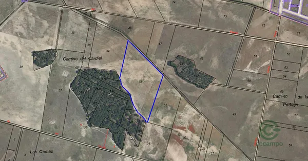 Spot image
