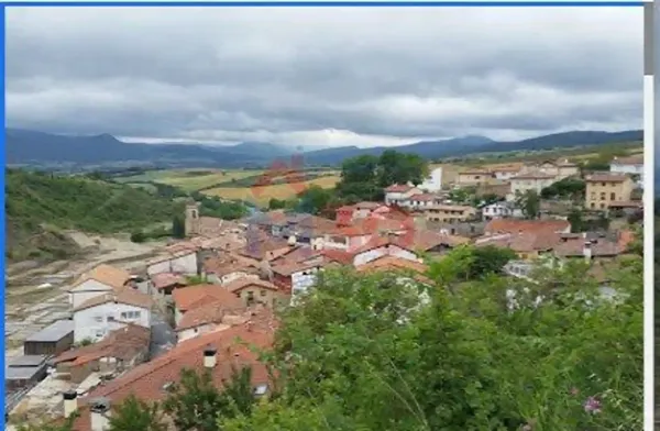 Spot image