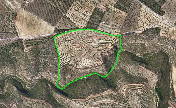 Spot image