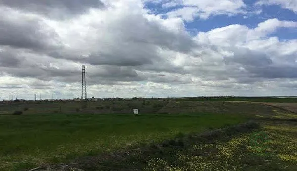 Spot image