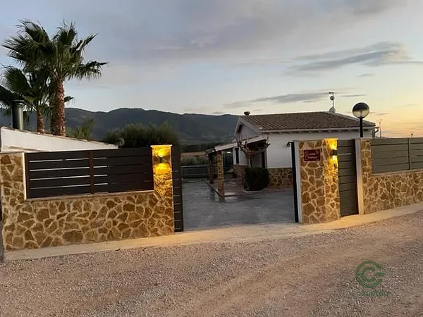 Spot image