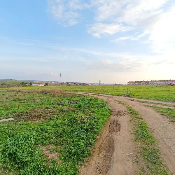Spot image
