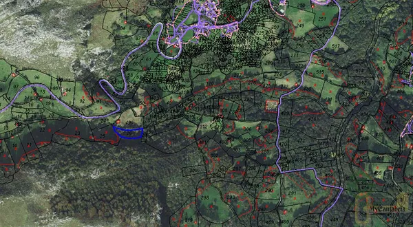 Spot image