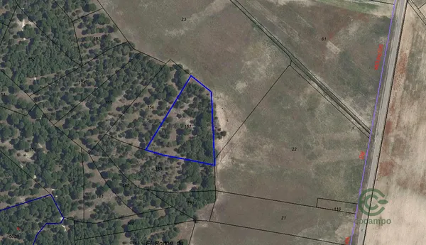 Spot image