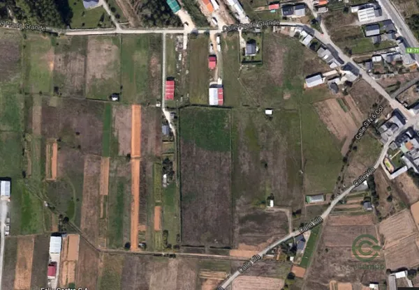 Spot image