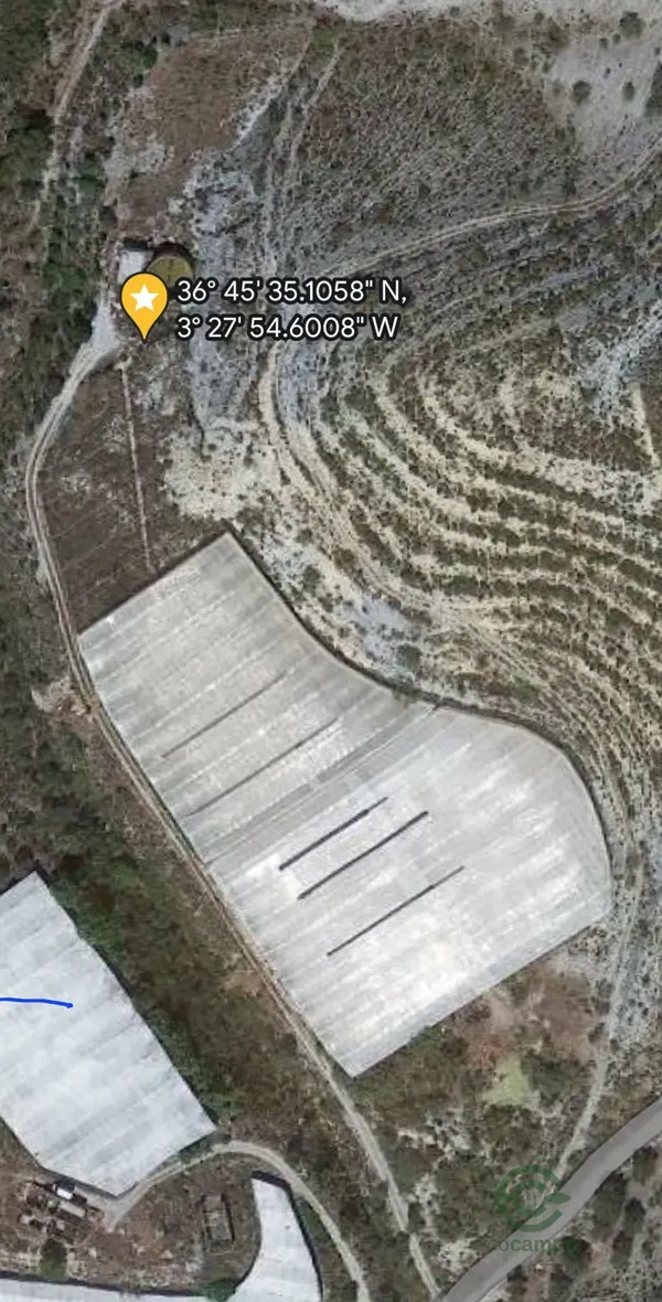 Spot image