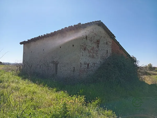 Spot image