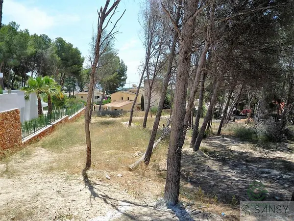 Spot image