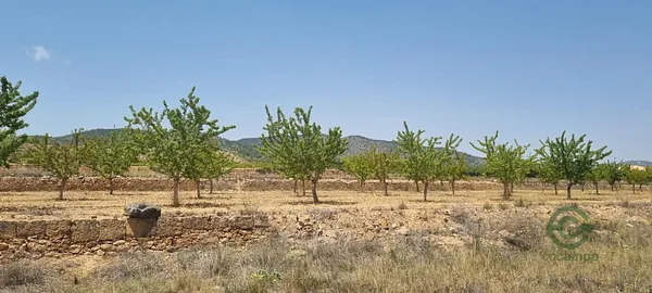 Spot image