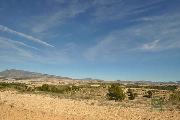 Spot image