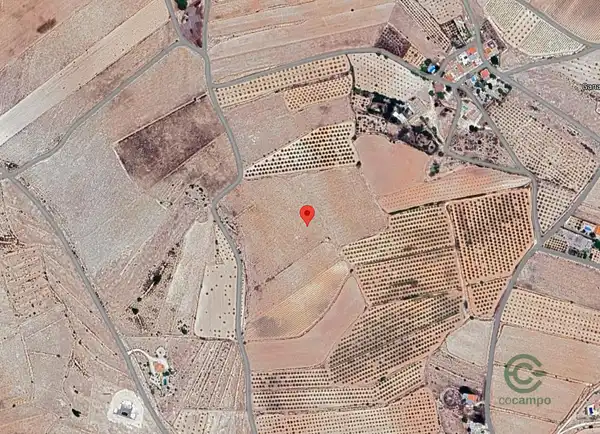Spot image