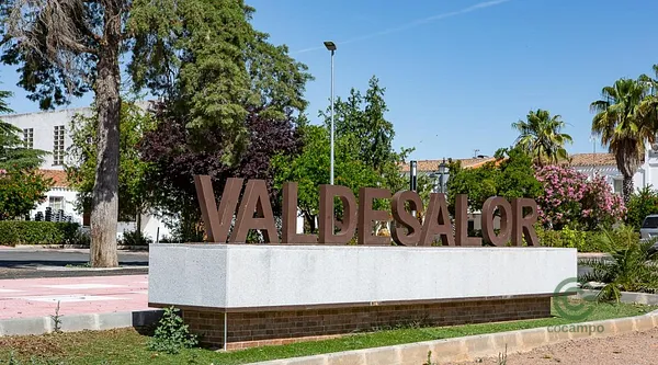 Spot image