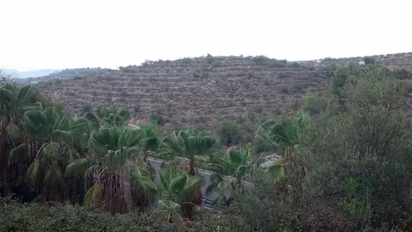 Spot image