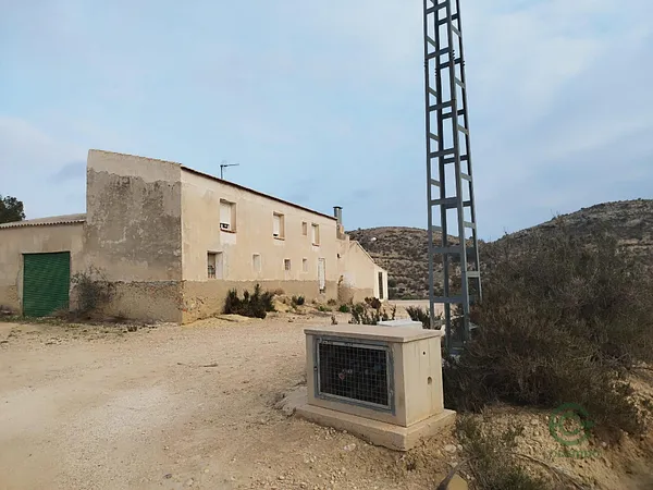 Spot image