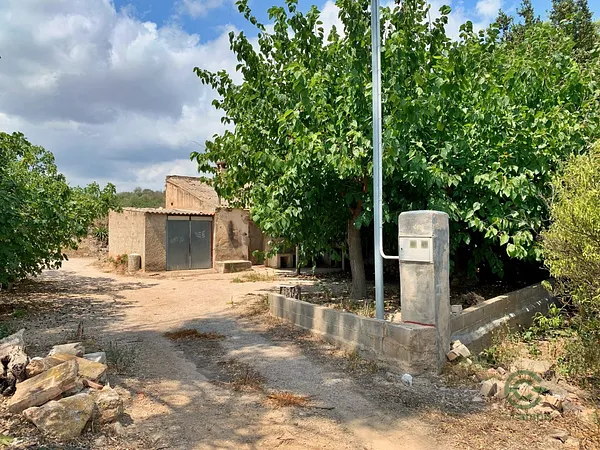 Spot image