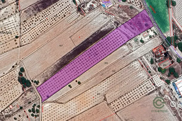 Spot image