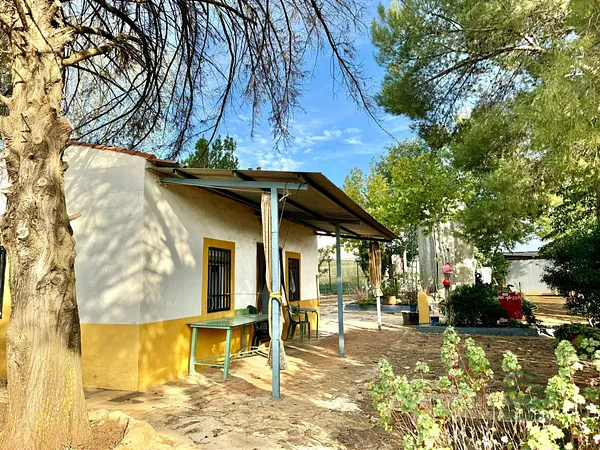Spot image
