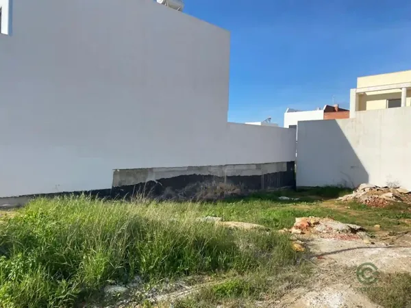 Spot image