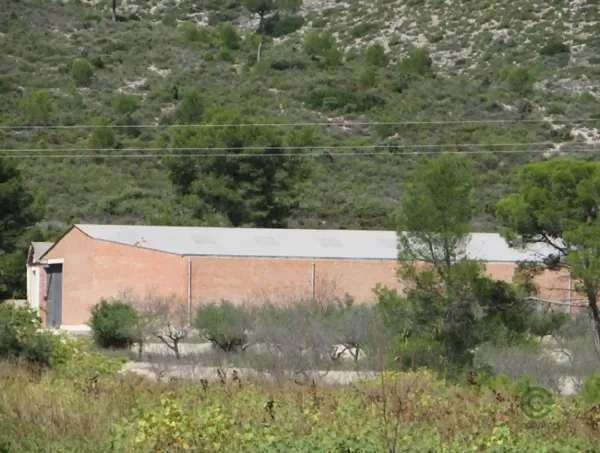 Spot image