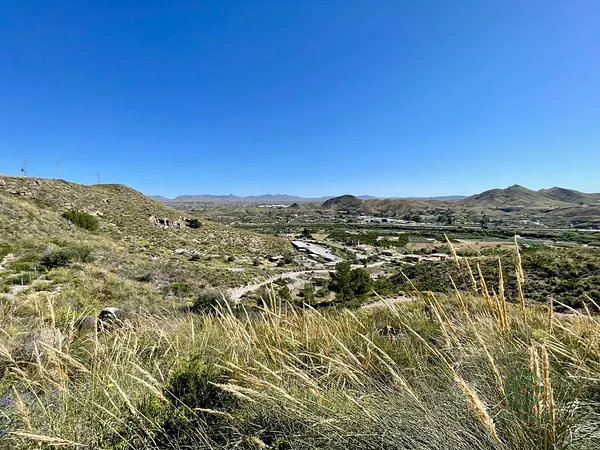 Spot image