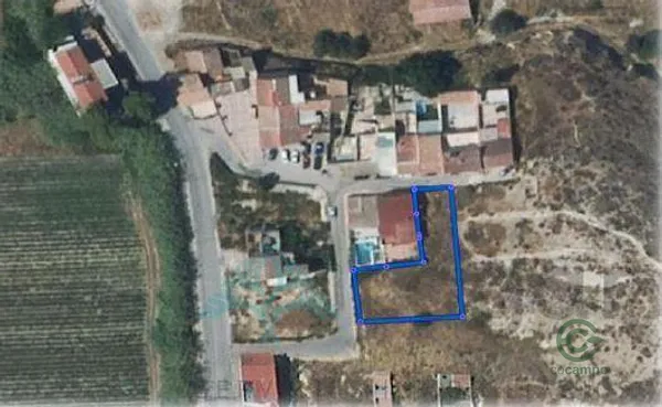 Spot image