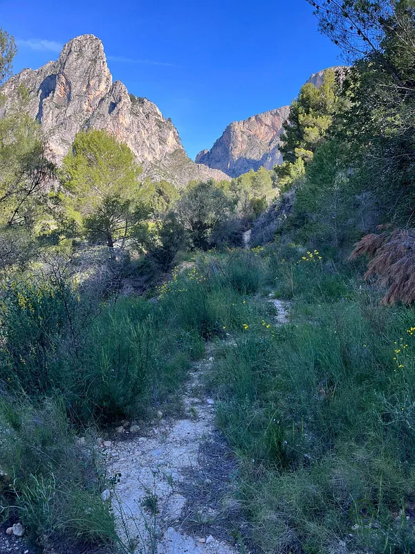 Spot image