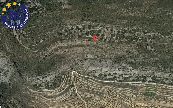 Spot image