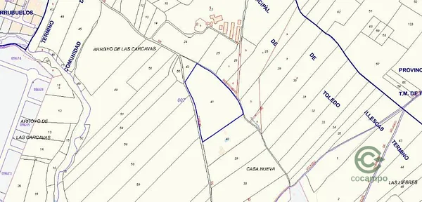 Spot image