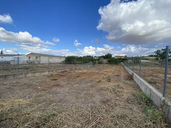 Spot image
