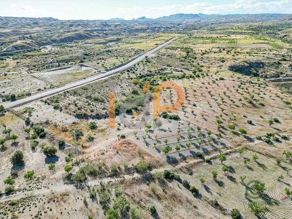 Spot image