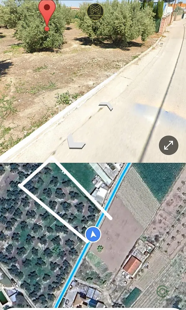 Spot image