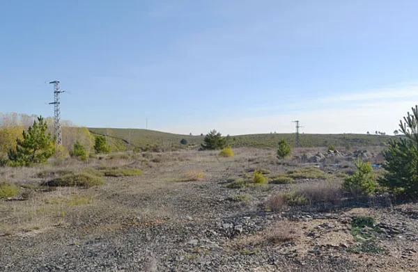 Spot image