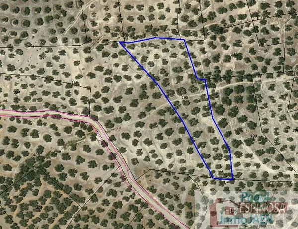Spot image