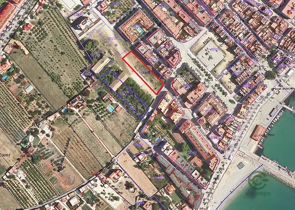 Spot image
