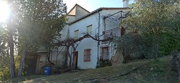 Spot image