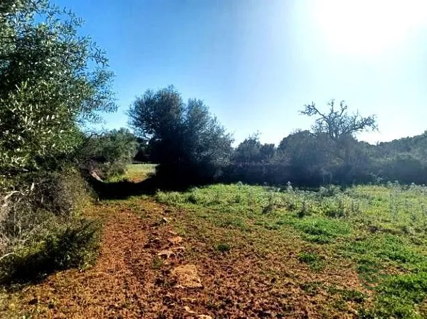 Spot image