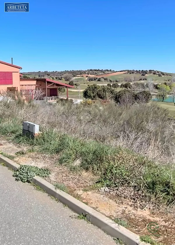 Spot image