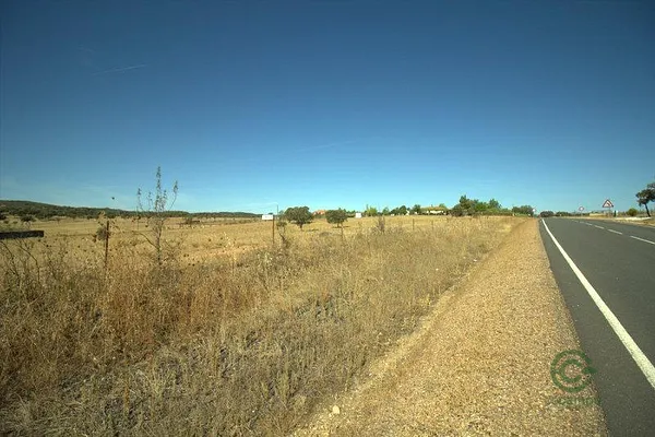 Spot image